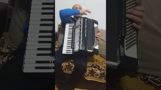 WELTMEISTER SUPITA S5 - STARE EXCELENTA, DE TOP - DEMO VIDEO LIVE - смотреть онлайн