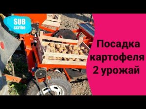 Посадка картофеля 2 урожай / картофелесажалка барабанная в работе