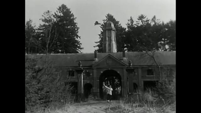 Обзор фильма "Свадебная Ваза". смотреть онлайн