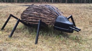 Советск. Дендрологический сад в начале мая - город Киров.