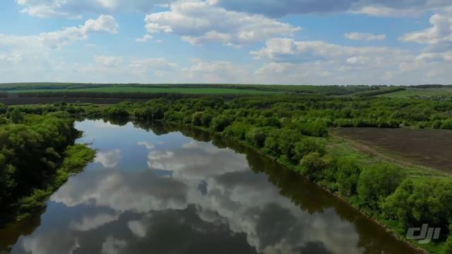 Дон Нововоронеж