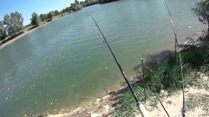 А порыбалимка. Если нет окуня, ловим сомика.