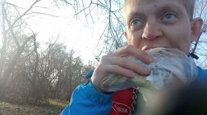 прогулка с собакой, поляна, самса в прикуску