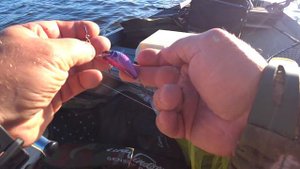 Рыбалка троллингом на озере Буртниеки (LV) Тестирую воблера Salmo Hornet 5 подаренные другом.