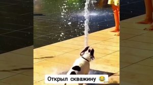 Открыл скважину