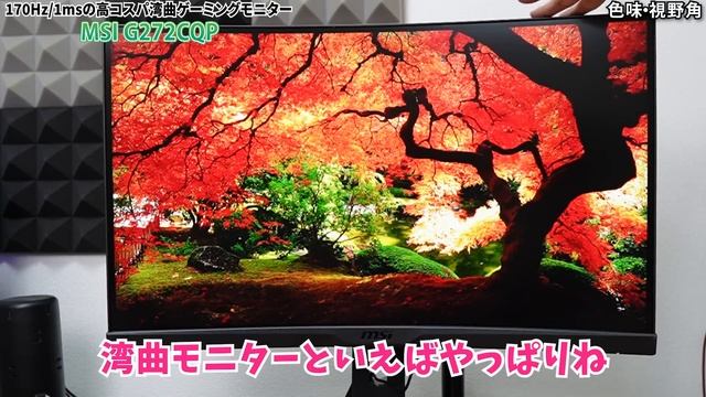 人間の視野とほぼ同じ湾曲率！？圧倒的没入感が癖になるゲーミングモニターを紹介します【MSI G272CQP】 смотреть онлайн