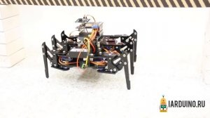 HEXAPOD (шестиногий) на Arduino #10 Демонстрация