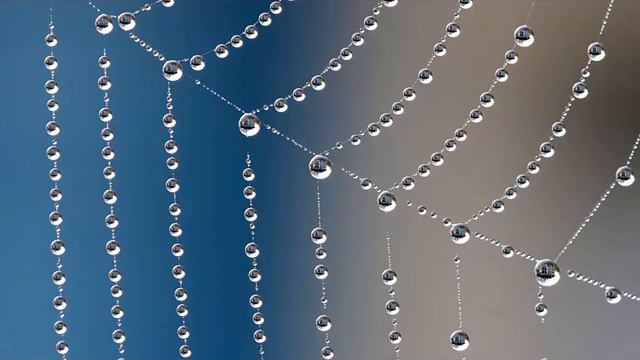 Музыка для видео (109) смотреть онлайн