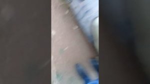 Скутор сузуки сепия.зажигание от бензопилы