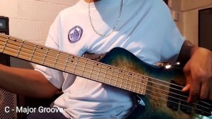 RedSub Coliseum Fanned Fret 5-String Bass, Blue Burl Burst - DEMO -C Groove