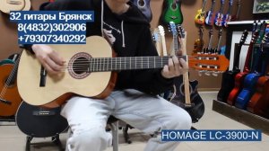 HOMAGE LC 3900 N / купить гитару в Брянске. Музыкальный магазин