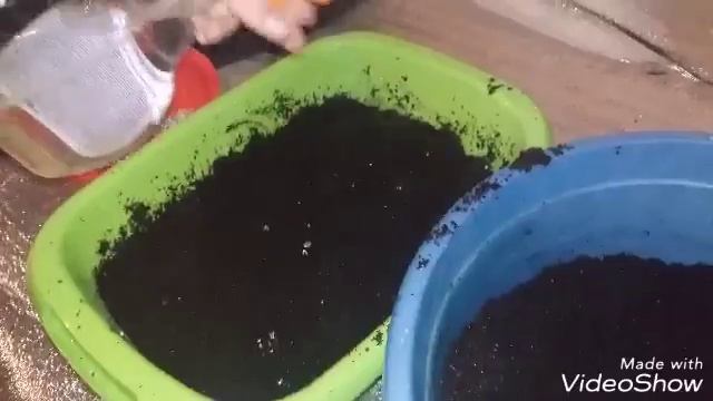 Выращивание мицелия часть 2 смотреть онлайн