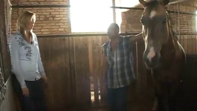 Приют для лошадей Платиниум смотреть онлайн