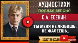 ТЫ МЕНЯ НЕ ЛЮБИШЬ, НЕ ЖАЛЕЕШЬ.. ЕСЕНИН С.А. аудиостих, слушать #стихи классиков, красивый #стих