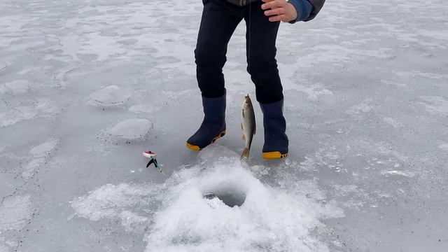 Трофейная плотва. смотреть онлайн