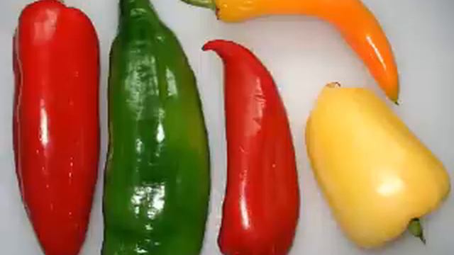 Fraternités Ouvrières 2014 03 cours audio jardinage смотреть онлайн