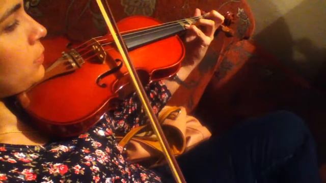 violin 4/4 Marca Cremona смотреть онлайн