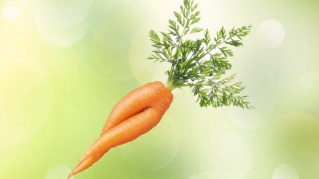 Почему морковь корявая и рогатая? Причины проблемы и решение! смотреть онлайн