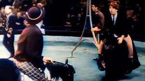 Никулин и Шуйдин   реприза  Лошадки  1967 (видео)