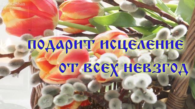 С Вербным Воскресеньем! Поздравление на вербное воскресенье 9 апреля 2023