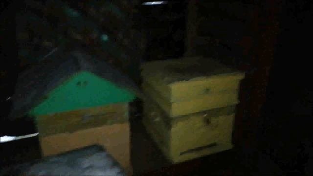 Купили Старый-новый дом.