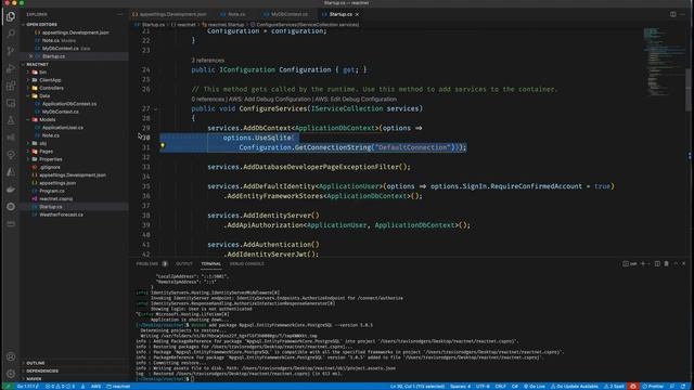 Create a React App with .NET 5 API Backend in VSCode (Entity Framework Core & Postgres)