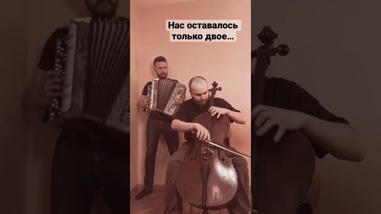 На безымянной высоте (баян и виолончель) - Musicus duo #9мая #песнивоенныхлет
