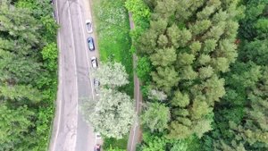 Хороший пляж. Зеленая гора. Озеро Сестрорецкий Разлив в Сестрорецке. Место где можно купаться.