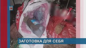 НЕСЧАСТНЫЙ СЛУЧАЙ ВО ВРЕМЯ МАТЧА//СУД НАД ЭКСТРЕМИСТОМ//ЗАГОТОВКА ДЛЯ СЕБЯ//ОДИН ЗВОНОК