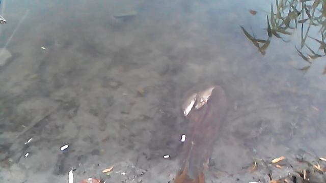 рыбалка которая просто взорвала интернет смотреть онлайн