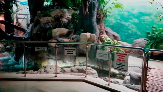 Лазаревское. Океанариум "ТРОПИЧЕСКАЯ АМАЗОНКА" смотреть онлайн