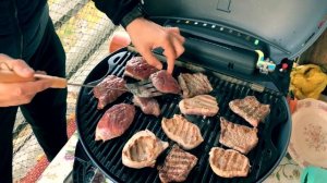 Ogrill обзор/ Газовый гриль