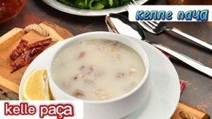 Турецкая кухня.  Какие национальные блюда нужно обязательно попробовать.