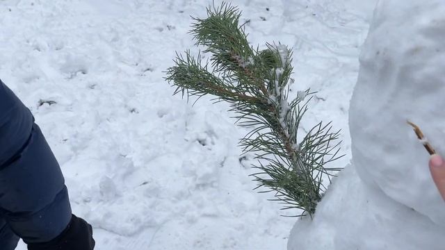 Vlog / ОСЕННИЙ СНЕЖНЫЙ день, развесили гирлянду смотреть онлайн