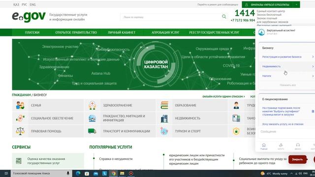 Видеозвонок через Е ГОВ