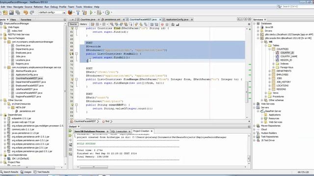 From Oracle DB to RESTful Web Services