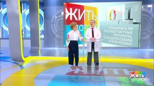Совет за минуту: домашние животные и глисты. Жить здорово! Фрагмент выпуска от 05.02.2019