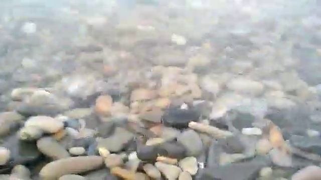Море,Дивноморское,Краснодарский край