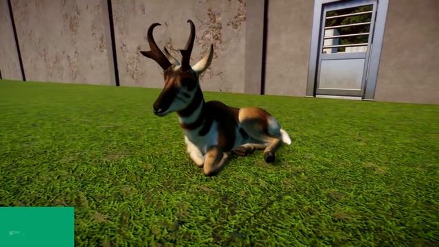 Every Single Animal in Planet Zoo When it First Released || ALL 70+ ANIMALS! смотреть онлайн