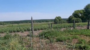 НЕУГОМОННЫЙ ДЕД МАТВЕЙ!!!