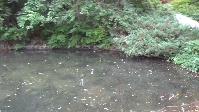 Sony dsc wx7 1080p смотреть онлайн