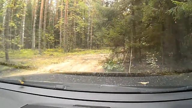 Дорога к реке Молога 1