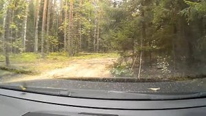 Дорога к реке Молога 1