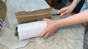 Распаковка посылок с растениями из 4 интернет-магазинов