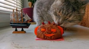 кот сьел голову монстра