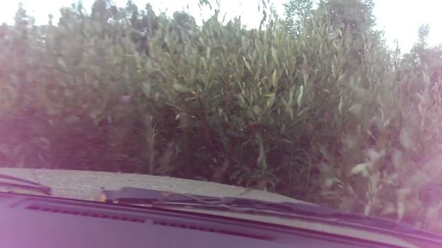 САВРАСКА смотреть онлайн