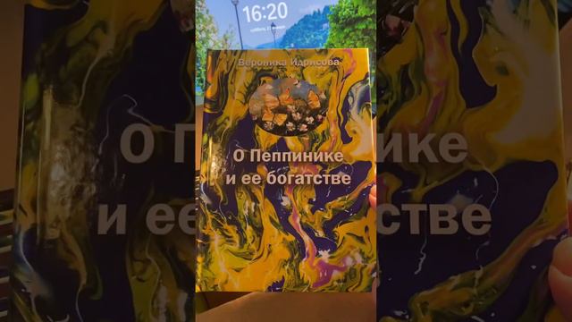 27 января 2024 г.