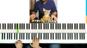 ? Фортепиано ДЛЯ ВСЕХ. Урок 12 - ТРИ АККОРДА, ЦЫГАНОЧКА, ЧАСТУШКА, ДЖЕНТЕЛЬМЕНЫ УДАЧИ