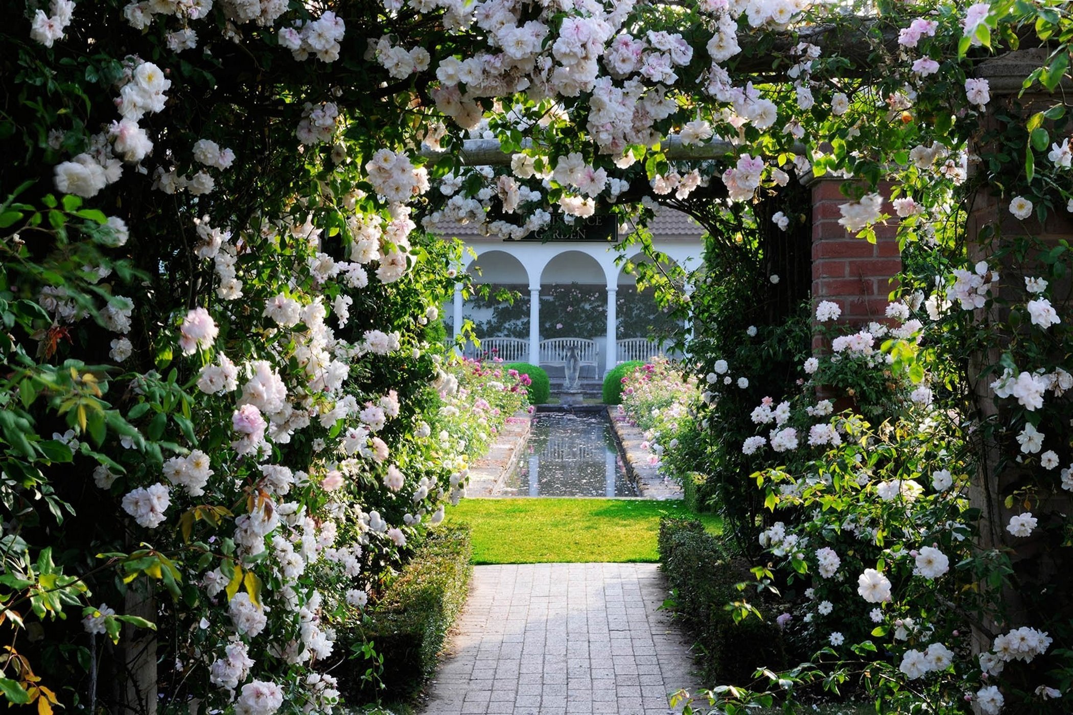 Дом в цветущем саду. Розы плетистые Роуз Гарден. Плетистые розы Берсо. Розарий Дэвида Остина.