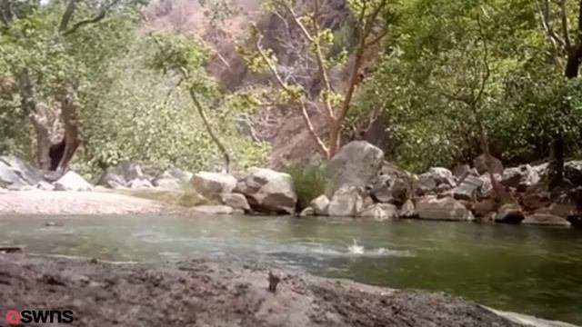 Friends Filmed Themselves In Accidental Drowning